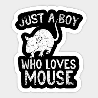 Just A Boy Who Loves Mouse Sticker